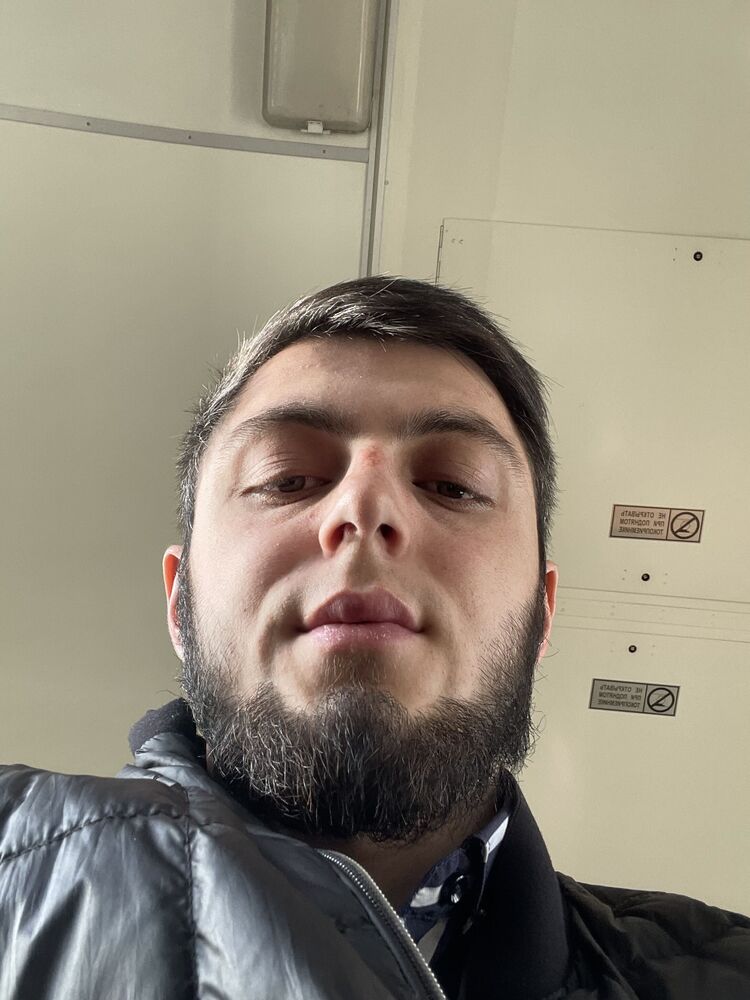  31136678  , 24 ,    -