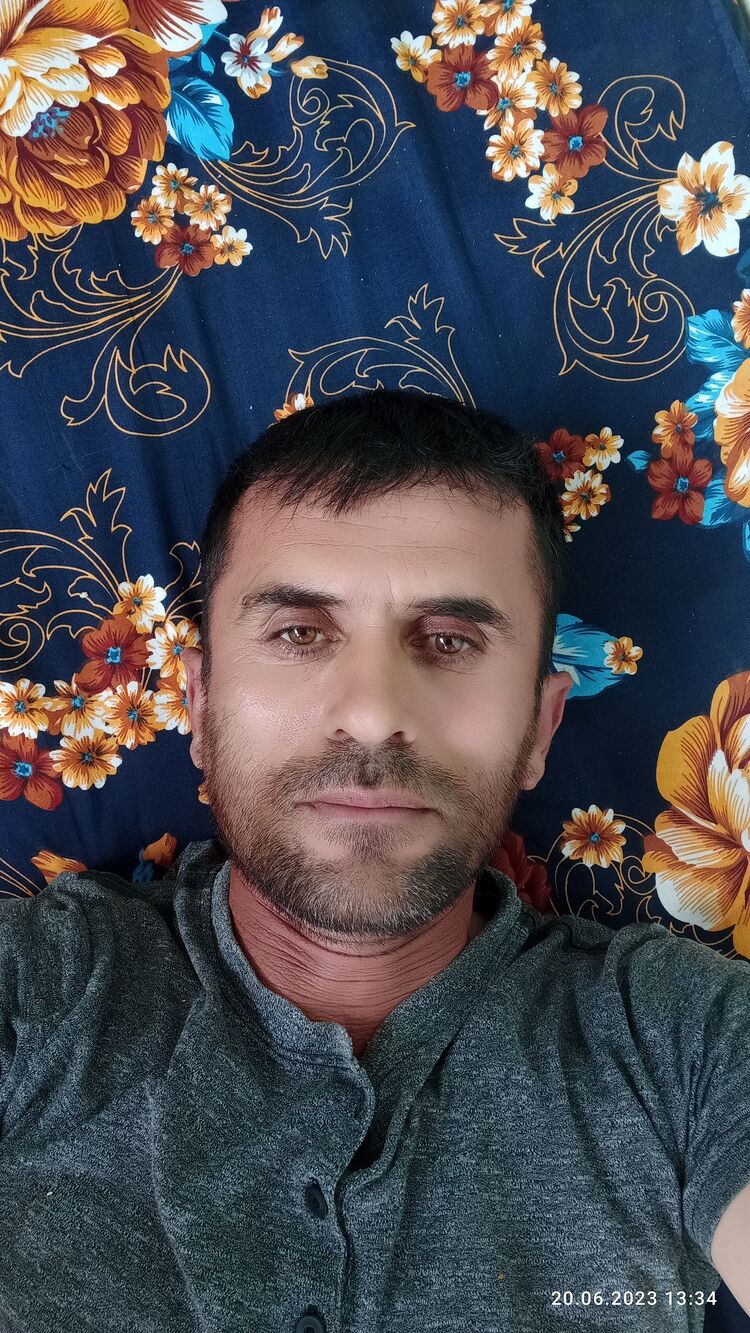  36555168  , 33 ,    