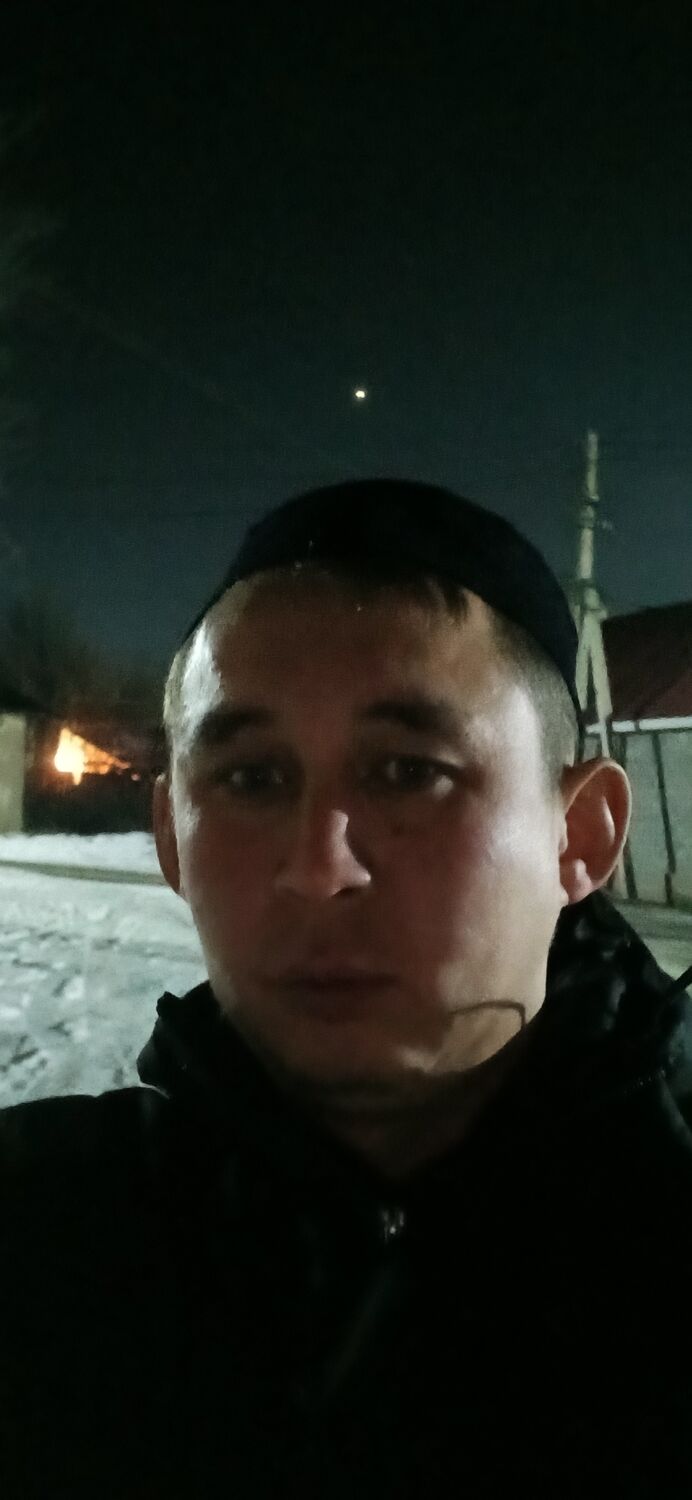  51584058  , 31 ,    