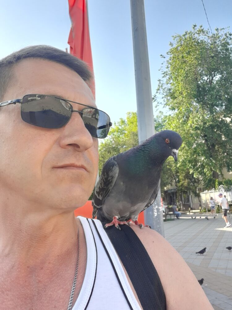  ,   , 54 ,  