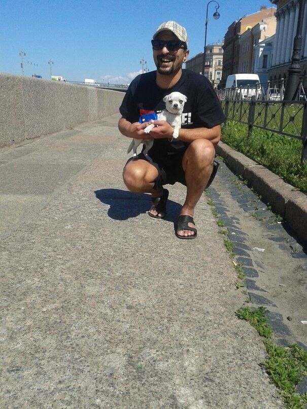  8097958  , 49 ,    -