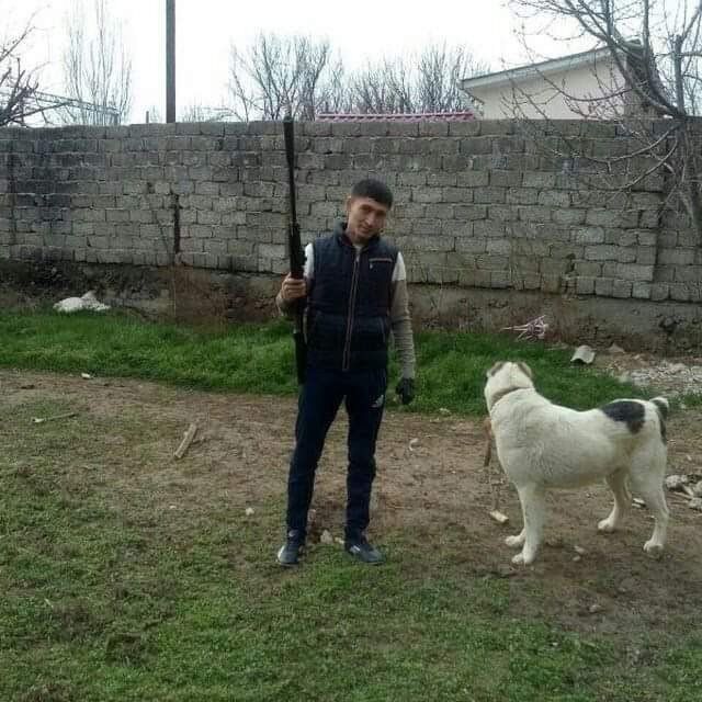 ���������� �������, ���� ������� Jaloliddin, 43 ����, ������������ ��� ������, ����� � ���������, c�������� ���������