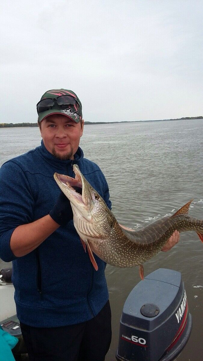 ���� 8316718 ������� ��������, 45 ���, ���� ���������� � �������