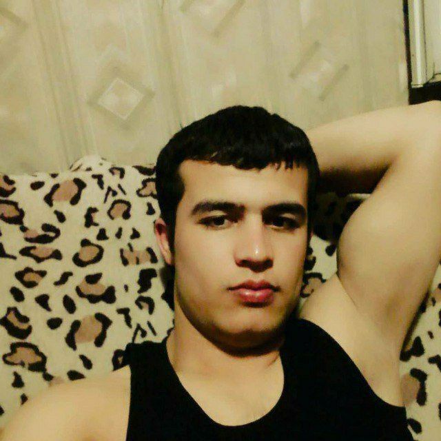  32679478  , 32 ,    