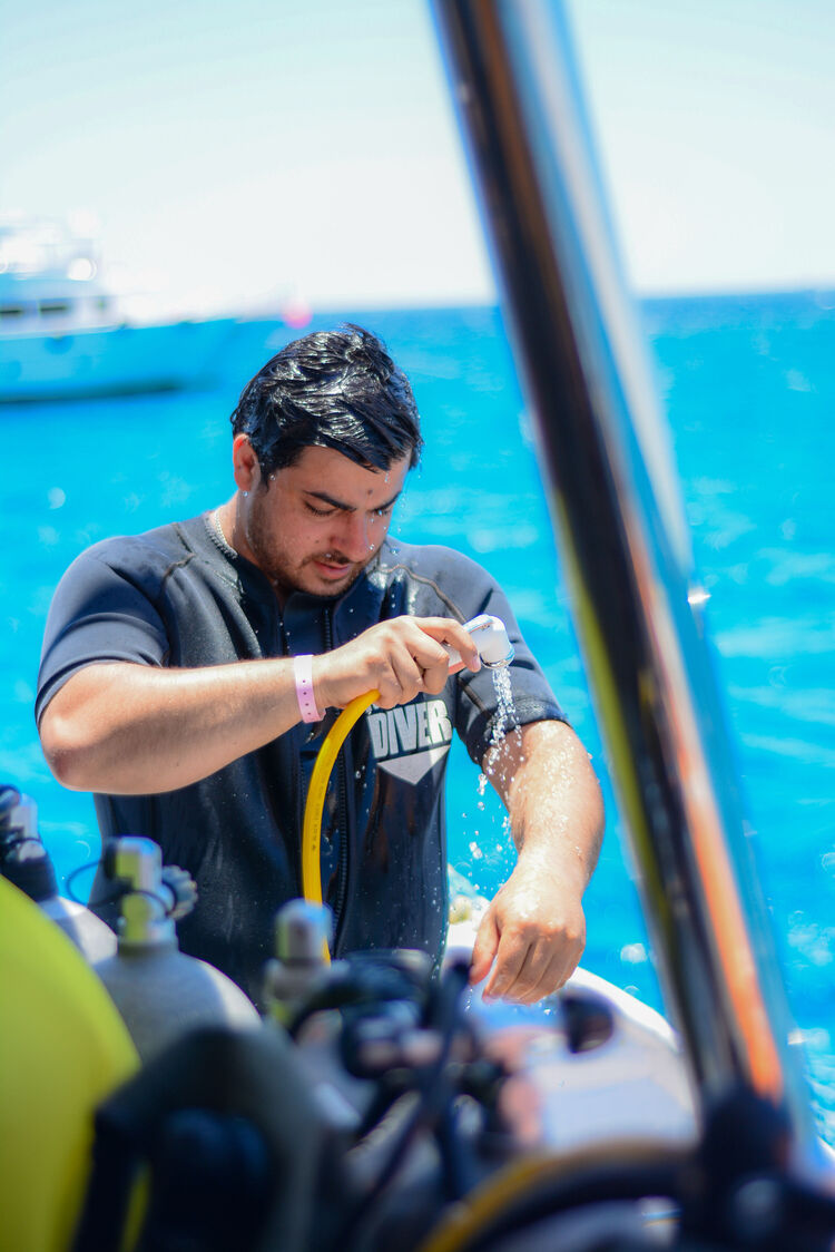 ���� 56500498 ������� ����, 36 ���, ���� ���������� � ������