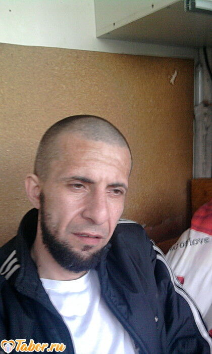  6491688  , 50 ,    