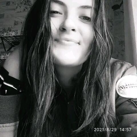  33666268  , 24 ,    