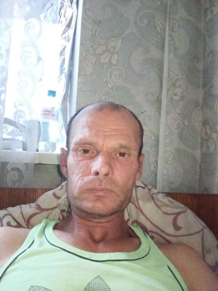  53066678  , 42 ,    