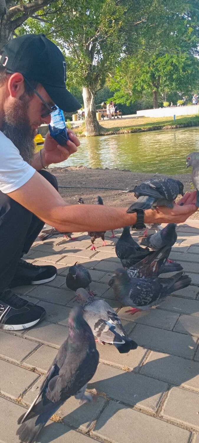 ���� 55134328 ������� �����, 37 ���, ���� ���������� � �����������