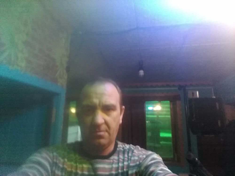  24408838  , 49 ,    -
