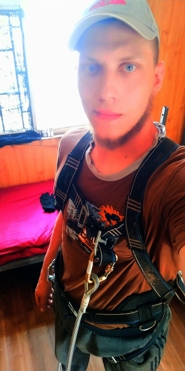 35866868  , 28 ,    