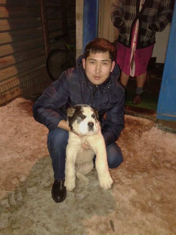  ,   , 37 ,   ,   