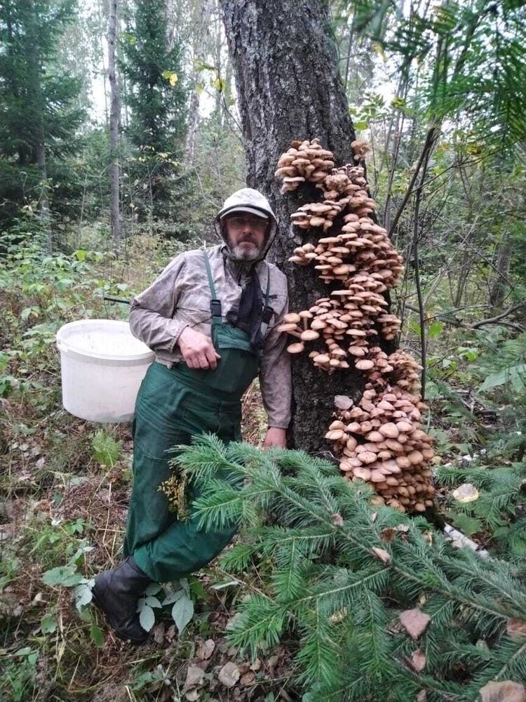  ,   , 48 ,   c 