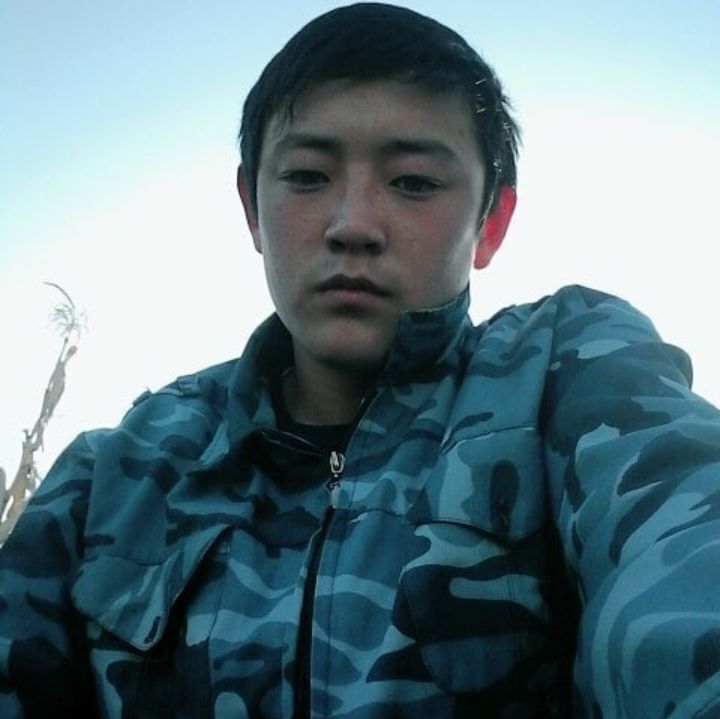 ���� 24677078 ����� ������, 24 ����, ���� ���������� � �������