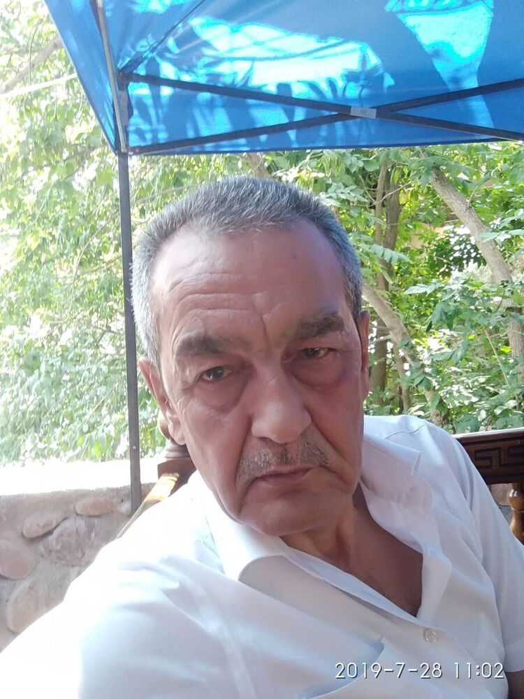  21137488  , 65 ,    