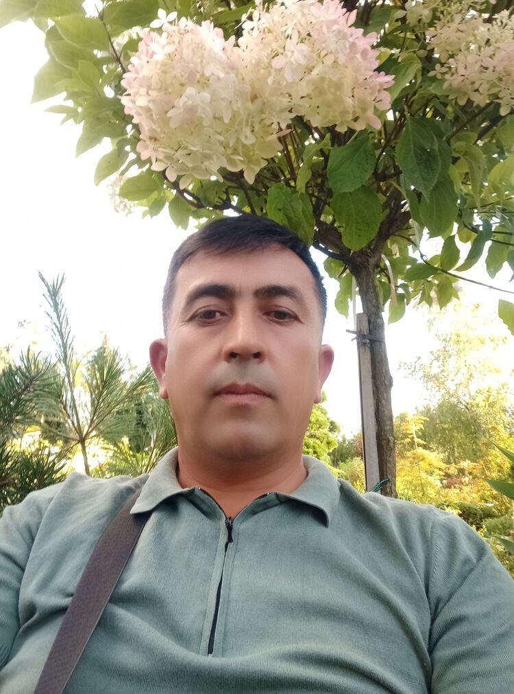  53869288  , 43 ,    