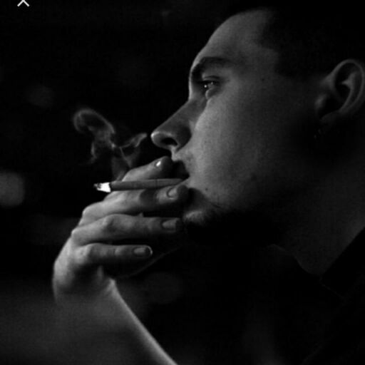 ���� 33979038 ������� ����, 32 ����, ���� ���������� � �������������