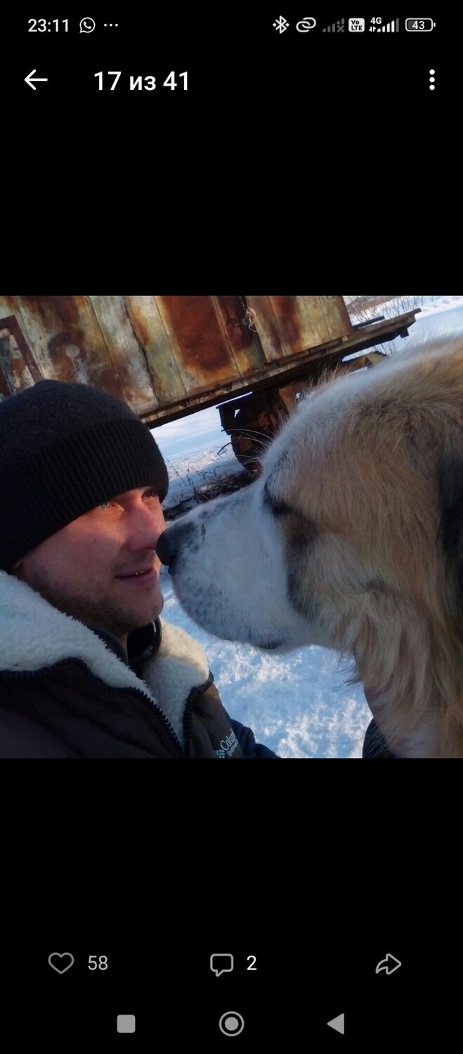 ���������� ����������, ���� ������� �������, 38 ���, ������������ ��� ������, ����� � ���������