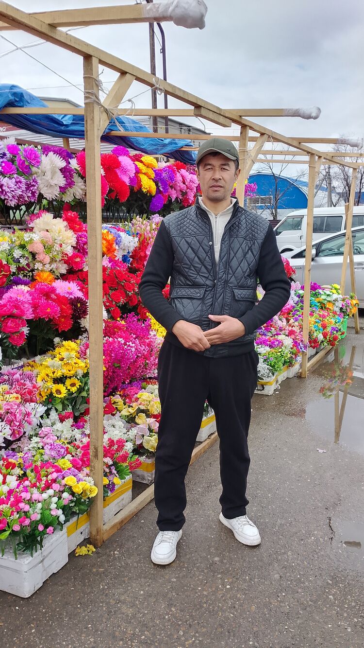  ,   , 41 ,   ,   
