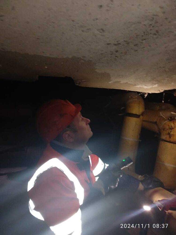 ���������� ����������, ���� ������� �������, 46 ���, ������������ ��� ������, ����� � ���������