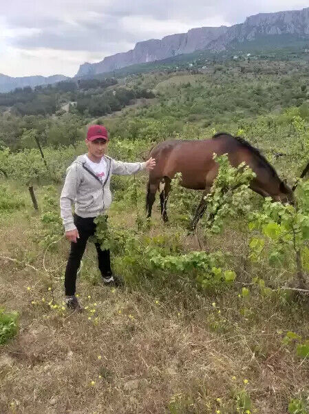 ���������� ����, ���� ������� ����, 37 ���, ������������ ��� ������, ����� � ���������, c�������� ���������