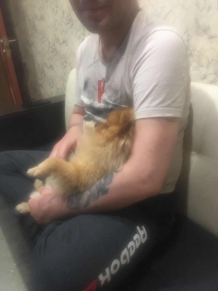 ���� 20538268 ������� Ramil, 42 ����, ���� ���������� � ������