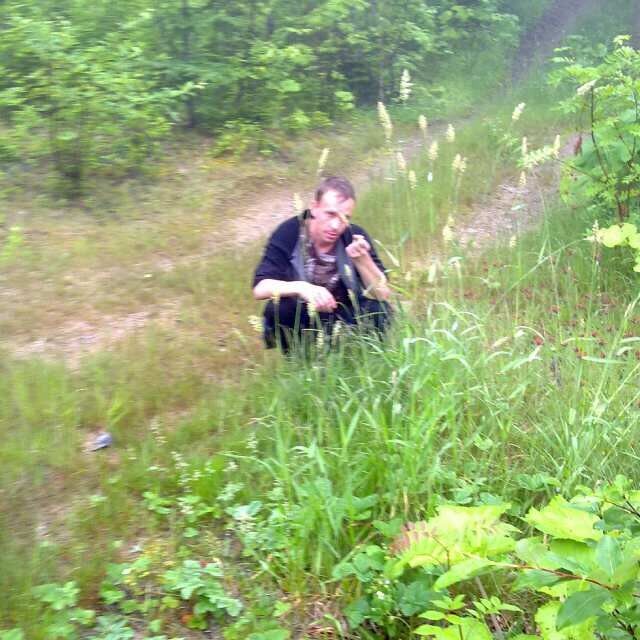  6528048  , 38 ,    -