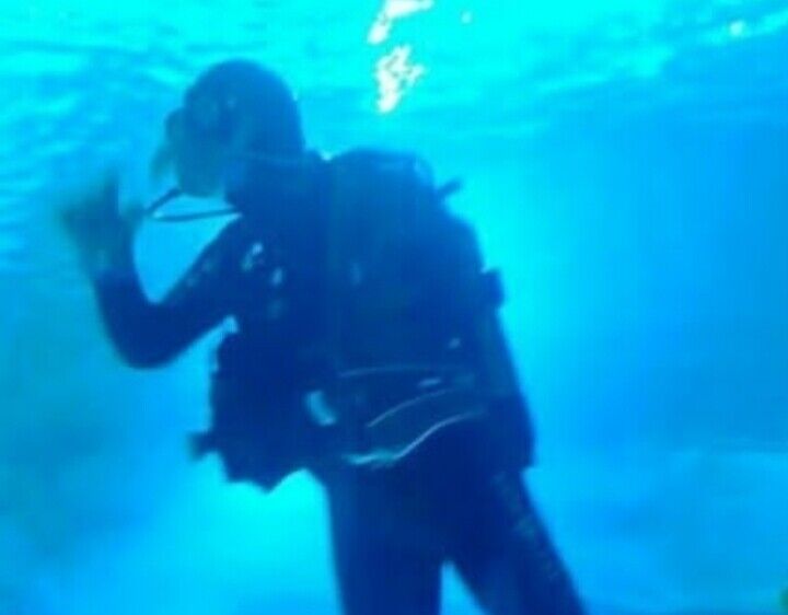 ���� 22550978 ������� ����, 35 ���, ���� ���������� � �������