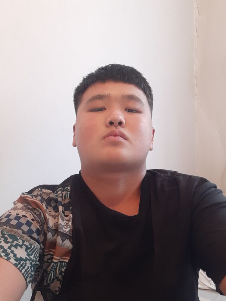  52470198  , 20 ,    -