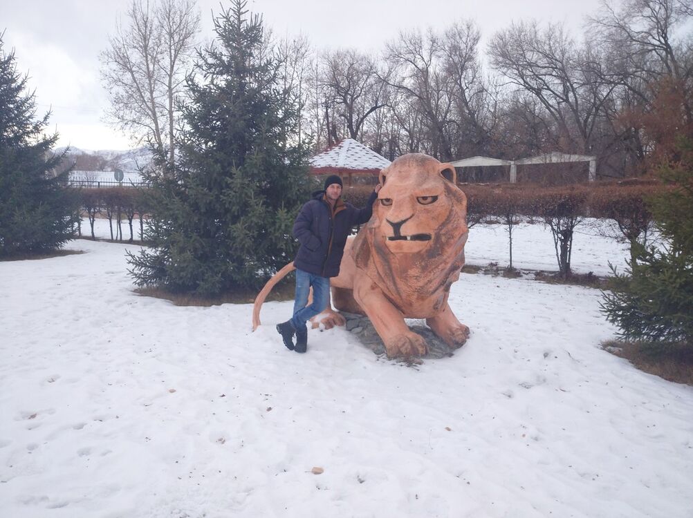 ���������� ������, ���� ������� ������, 36 ���, ������������ ��� ������, ����� � ���������, c�������� ���������