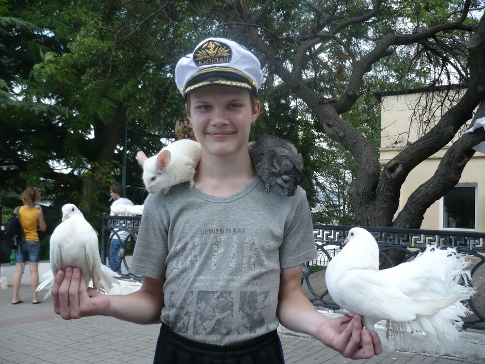 ���������� ��������, ���� ������� �������, 27 ���, ������������ ��� ������, ����� � ���������