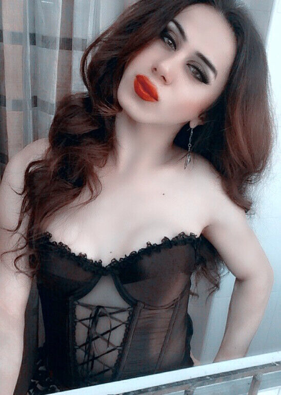 ���������� ����, ���� ������� Dasha TRANS, 33 ����, ������������ ��� ������, ����� � ���������, c�������� ���������, ���������