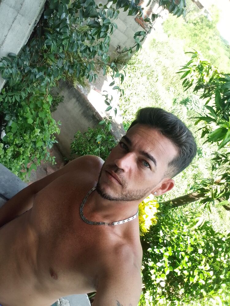  Havana,   Arian, 34 ,   ,   