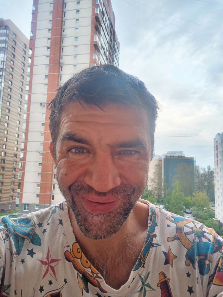  53559658  , 43 ,    -