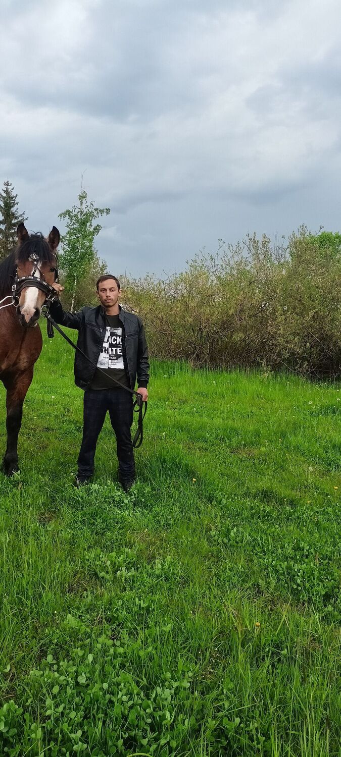 ���� 51679328 ����� ������, 20 ���, ���� ���������� � ������