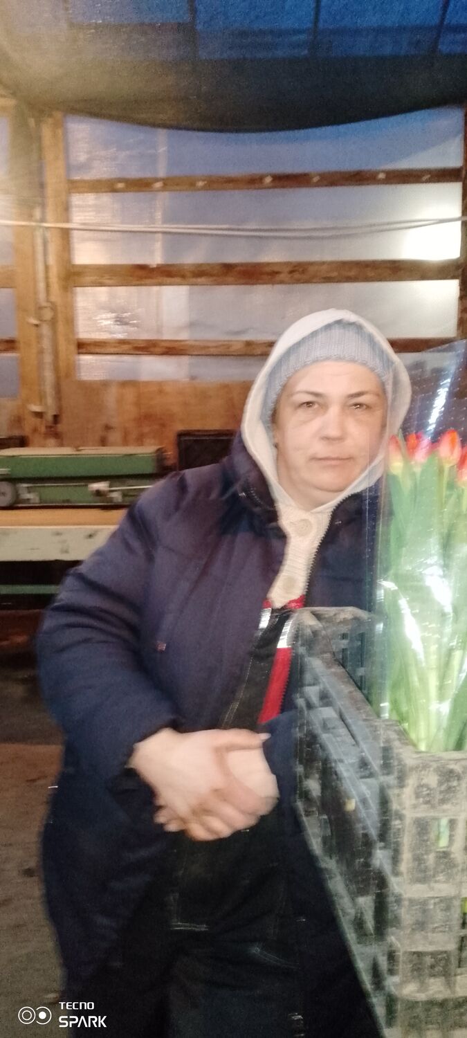 ���� 56106068 ������� ����, 43 ����, ���� ���������� � ��������