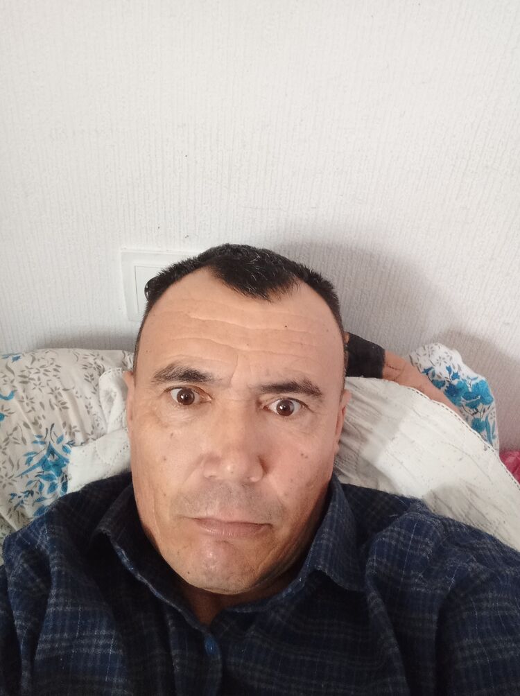  51976888  , 47 ,    -