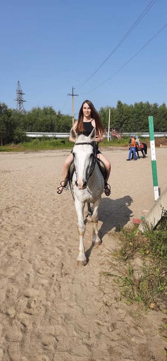 ���������� �����-���������, ���� ������� �����, 23 ����, ������������ ��� ������, ����� � ���������