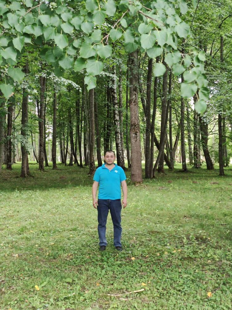 ���� 41630208 ������� ������, 43 ����, ���� ���������� � �����-����������