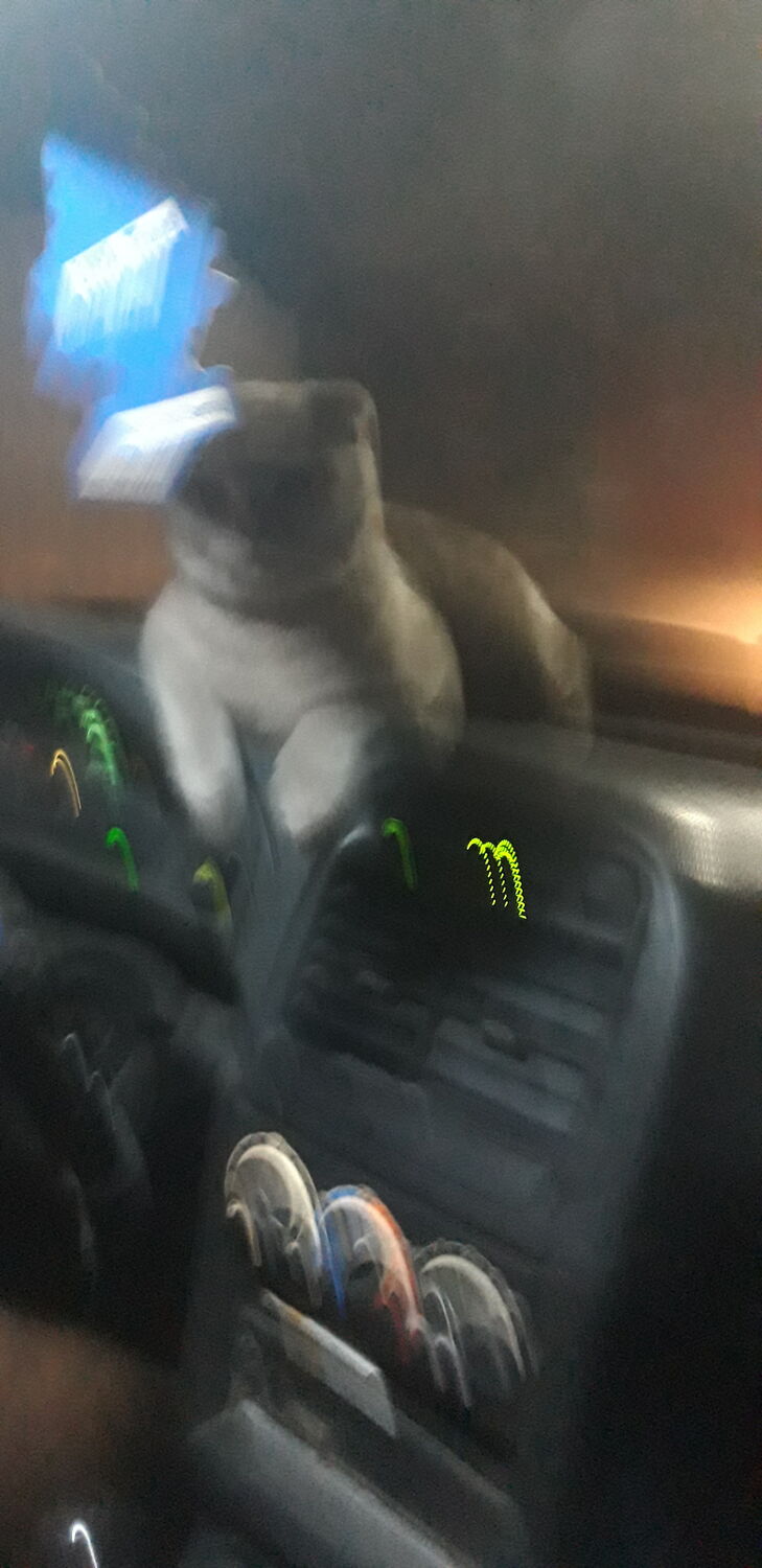  29412058  , 37 ,    --