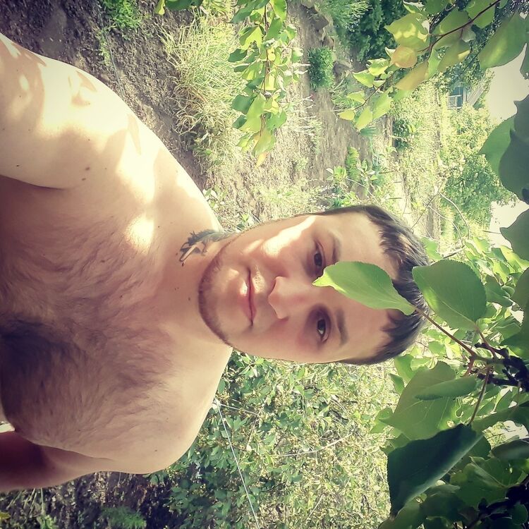  13542758  , 33 ,     