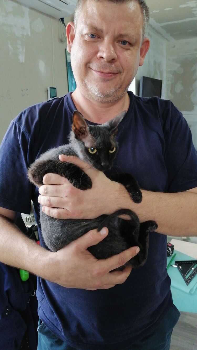 ���� 25964868 ������� ����, 51 ���, ���� ���������� � �������-��-����