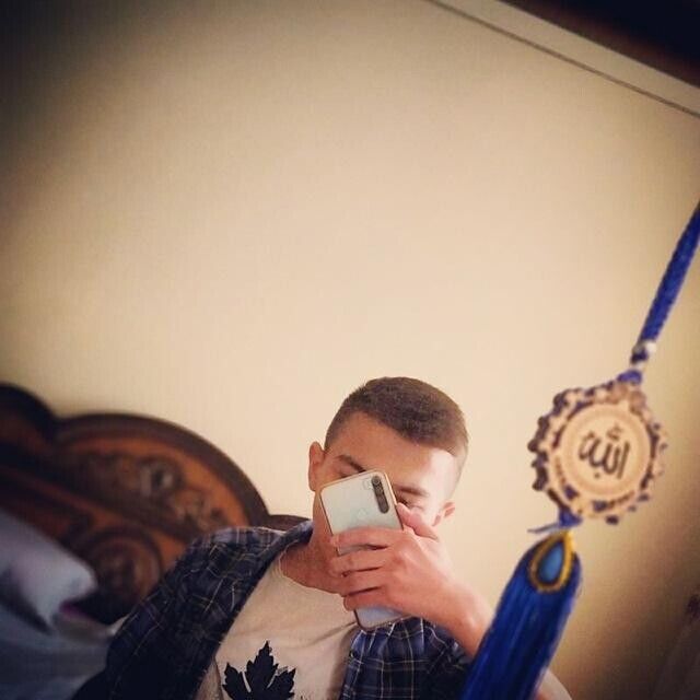  21353168  , 24 ,    
