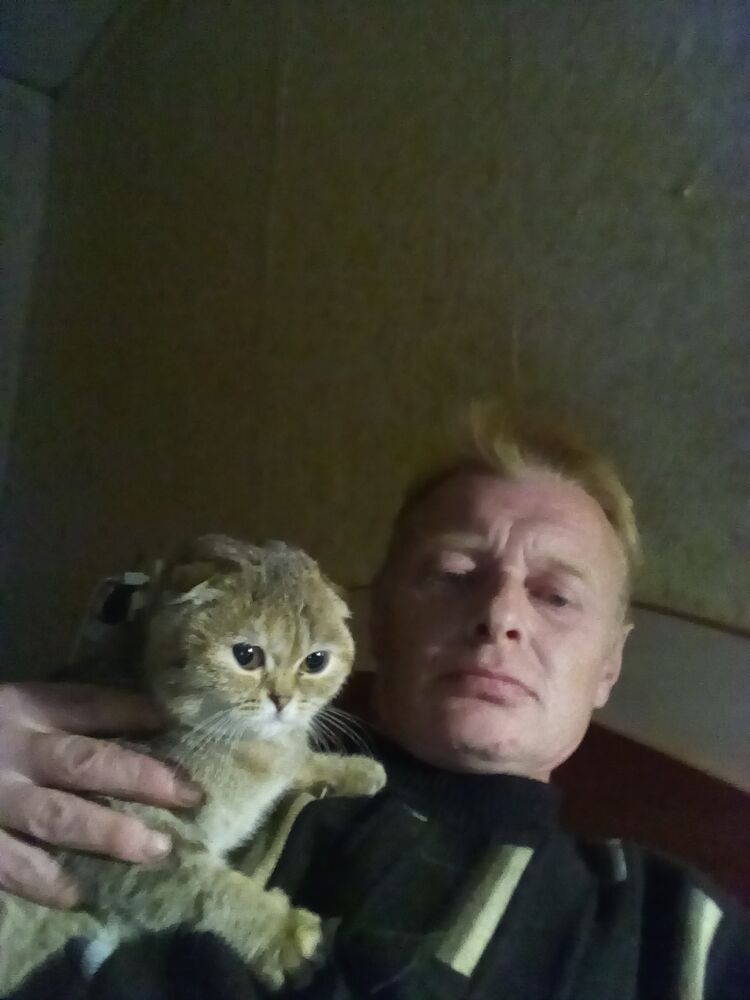 ���������� �����-���������, ���� ������� �������, 48 ���, ������������ ��� c�������� ���������