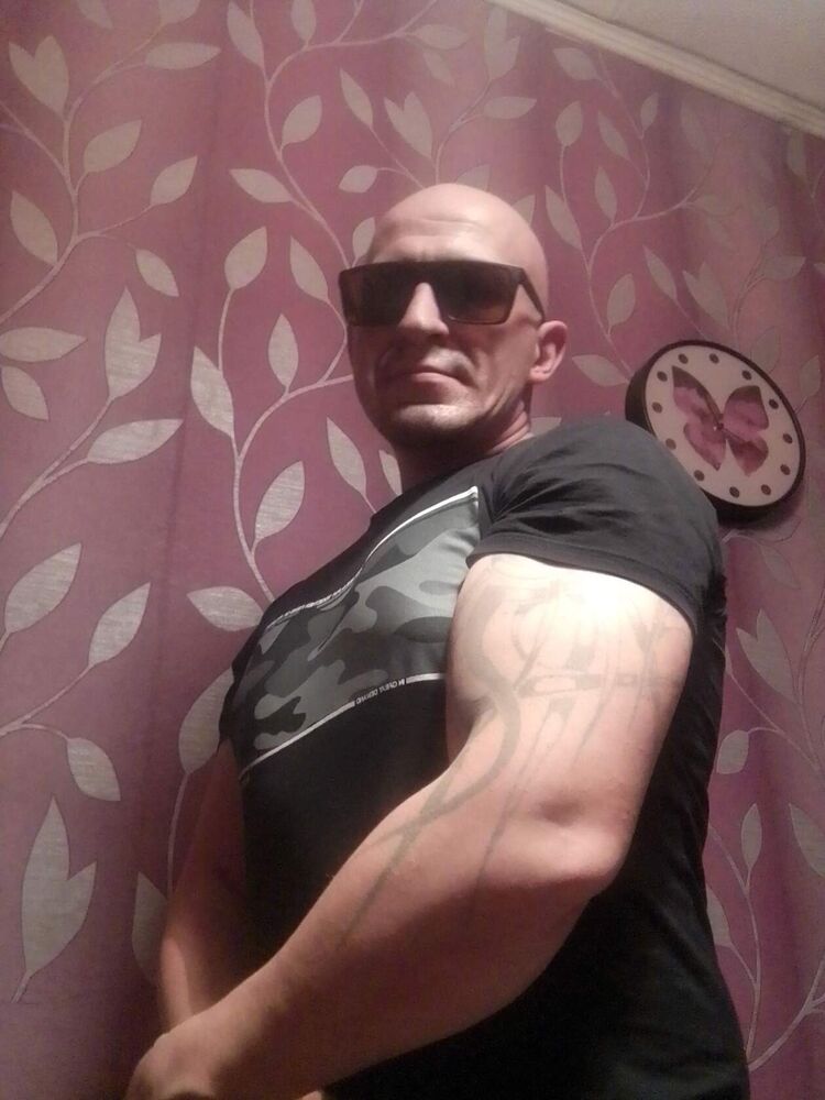 41664798  , 44 ,    