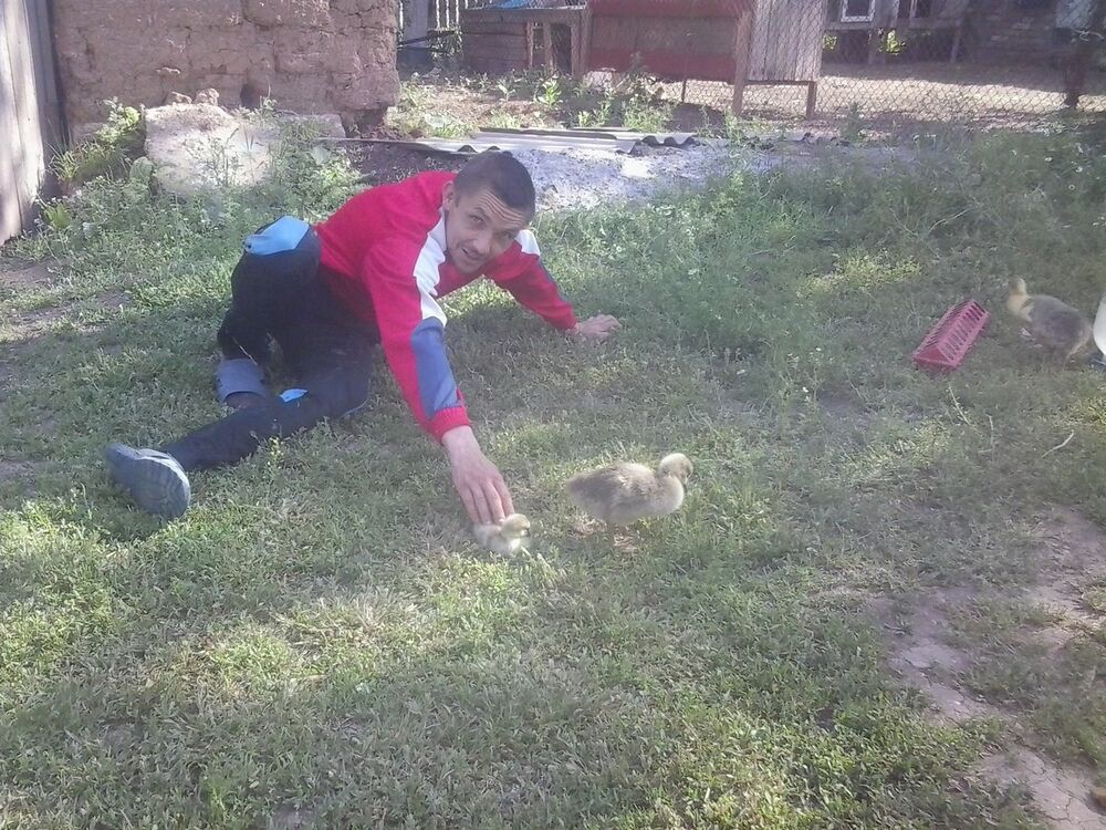  ,   , 42 ,   