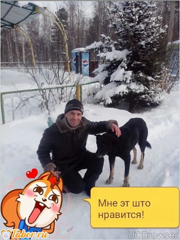 ���������� �������, ���� ������� �����, 52 ����, ������������ ��� ������, ����� � ���������, c�������� ���������