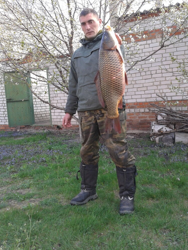 ���������� ��������, ���� ������� �����, 39 ���, ������������ ��� ������