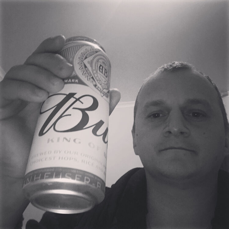 ���� 24080608 ������� ����, 36 ���, ���� ���������� � �����