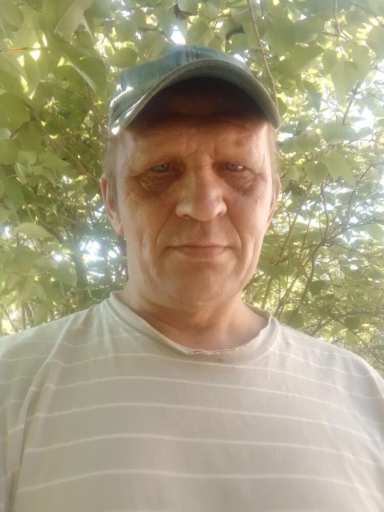  38506238  , 54 ,    